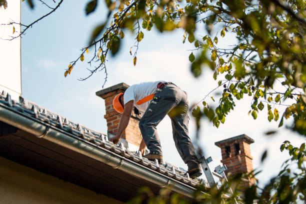 Best Commercial Roofing Services  in Warner Robins, GA